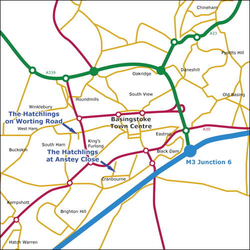 Basingstoke carte